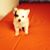 Cathy Helveston's profile image