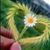 Sheyann Hubbard's profile image