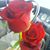 Karla Skinner's profile image