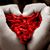 Amore Love's profile image