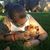 Amanda Jo Reinstetle's profile image