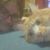 Melinda Knebel's profile image