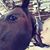 Claudia Duncan's profile image