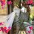 Julee Meyers-Kistler's profile image