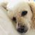 Cornelia Maria's profile image
