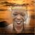 Janet Woodberry Friedman's profile image