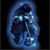 Levi Parks's profile image