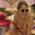 Sacha Jones's profile image