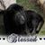 Neola Clark's profile image