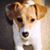 John P. Burns's profile image
