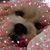 Cabrini Capparelli Rudnick's profile image