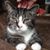John Connolly's profile image