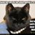 Carolyn Funk's profile image