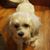 Valerie Baker's profile image