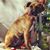 Tina Woolever Ruark's profile image