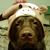 Brandi Cartee's profile image