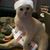 Emily Greenwood's profile image
