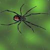 Gary E.'s profile image
