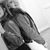 Allie Miller's profile image