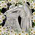 Cindy Marse Piehl's profile image