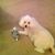 Nancy Blanchard's profile image