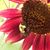 Jean Bergstrom's profile image