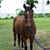 Tammy L Clark's profile image