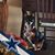 Debbie Hoeber Bowles's profile image