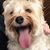 Holly Handt Rafferty's profile image