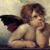 Timothy Des Roches's profile image