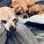 Stephanie Sansom's profile image
