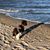 Ellen Rauch's profile image