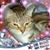 Ethel Smith Wingard's profile image