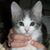 Suzanne Eastman's profile image