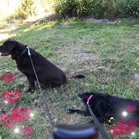 Hope Price's profile image
