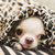 Sabrina Giem's profile image