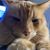 Dennis Ness's profile image