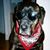 Thomas Basile's profile image