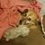 Jeremiah McKeeman's profile image