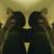 Christopher Grant's profile image