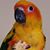 Kim Ann's profile image