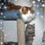 Teresa Collett's profile image