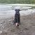 Terri Norberg-Brooks's profile image
