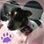 Jon Christy's profile image