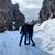 Carol Colburn Hicks's profile image
