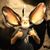 John Reinke's profile image