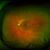Mark Schindler's profile image