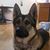 Billy Xiong's profile image