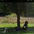 Cathy Casey Martinson's profile image
