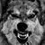 Cormac Wall's profile image